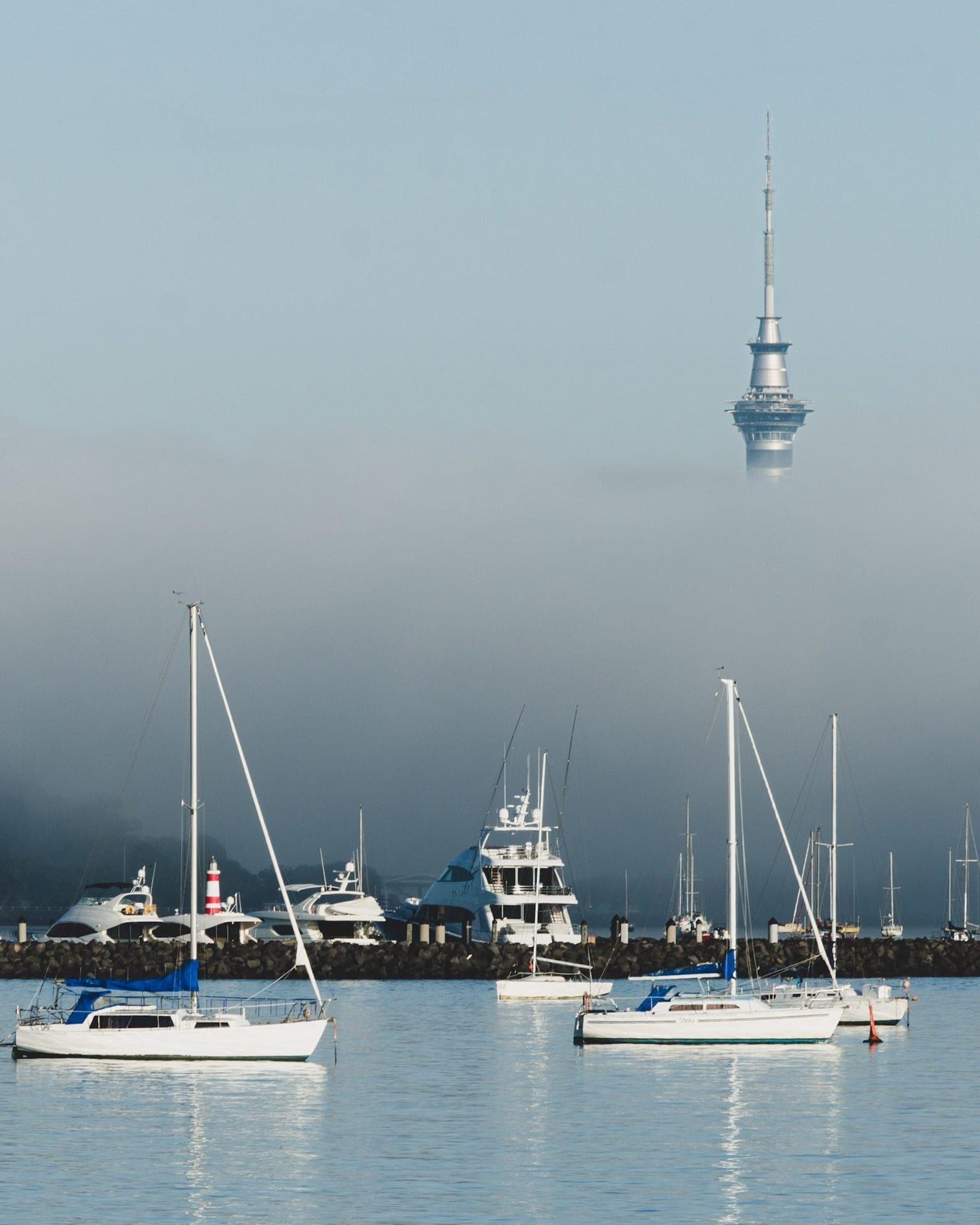 Foggy morning scenes