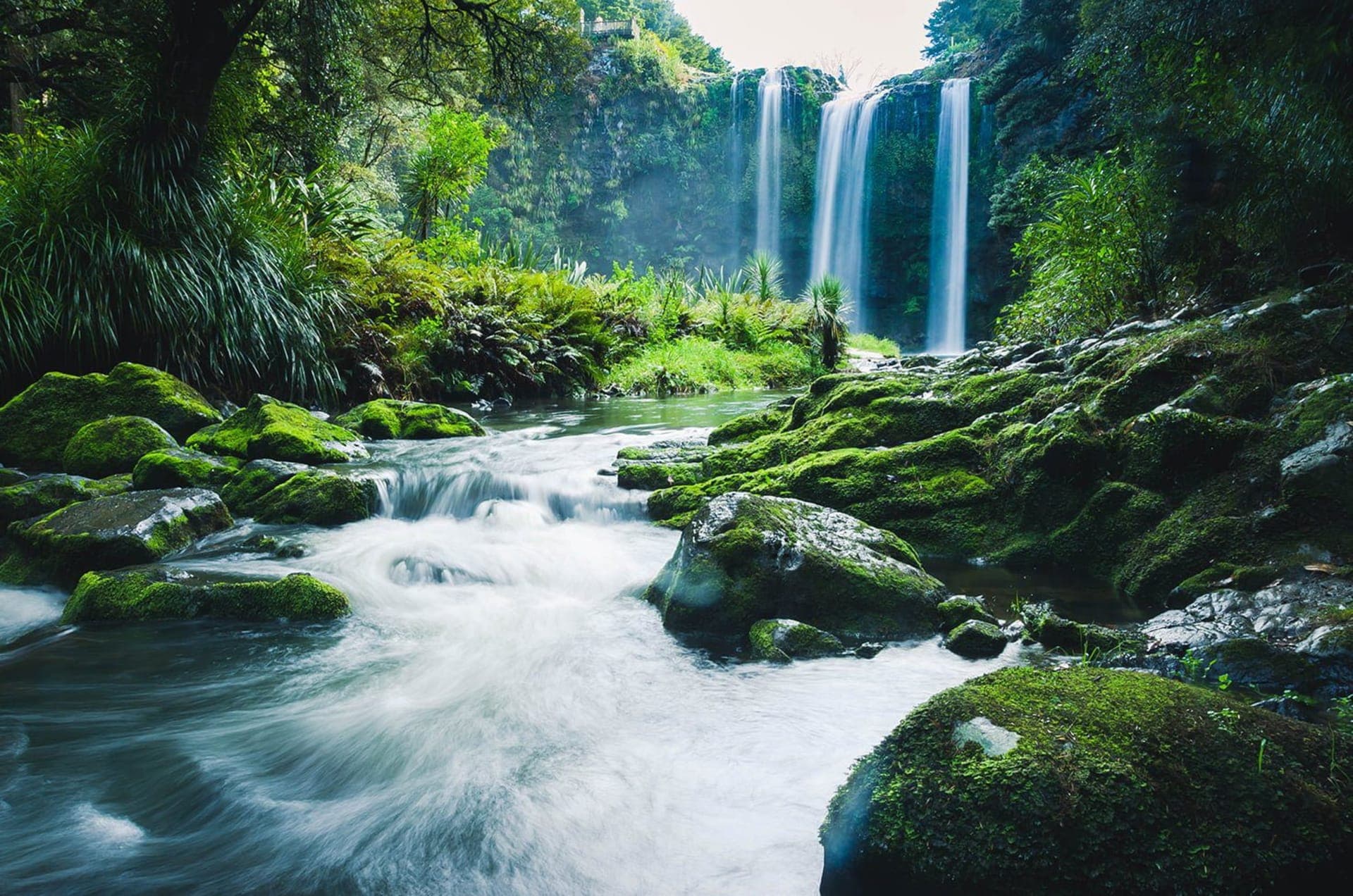Whangārei Falls