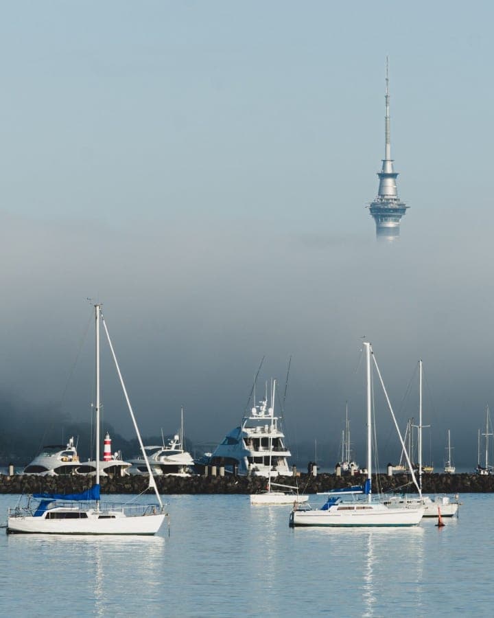 Foggy morning scenes