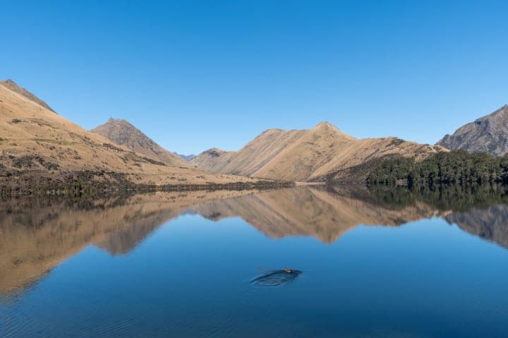 Moke lake