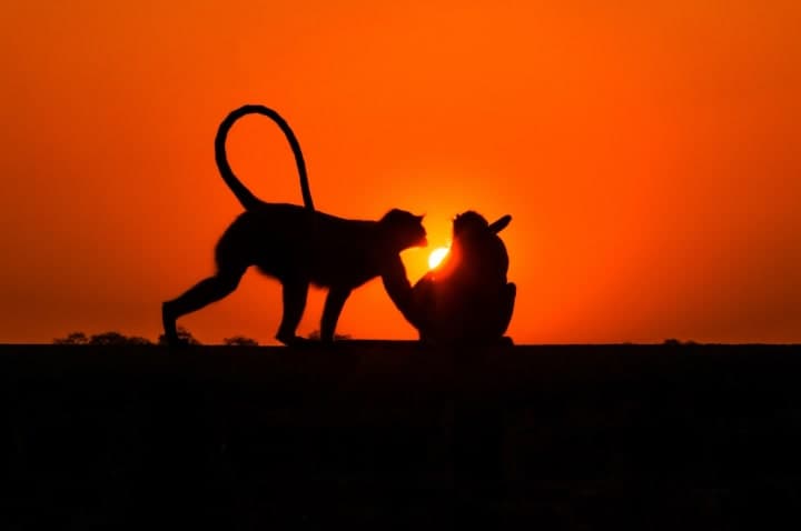 Sunset affairs
